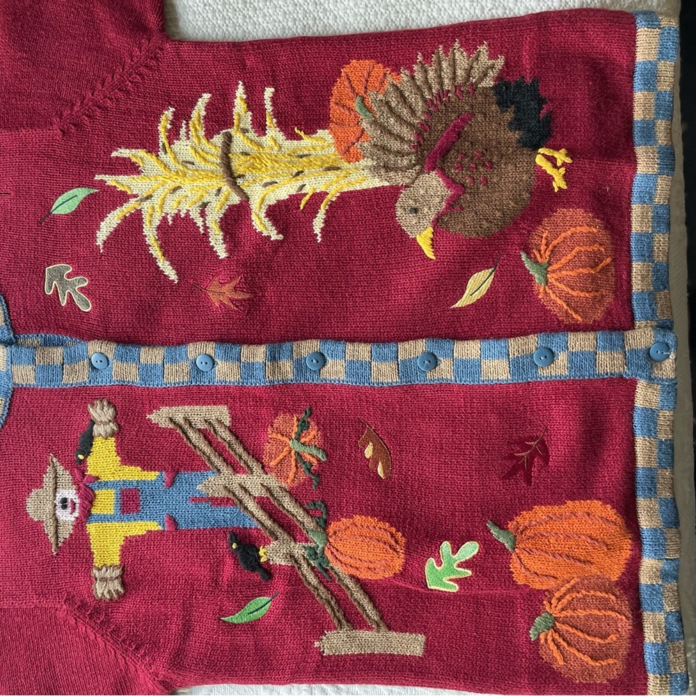 Quacker Factory Fall Sweater